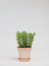 products/SotoProductShootLowQ-1723.jpg